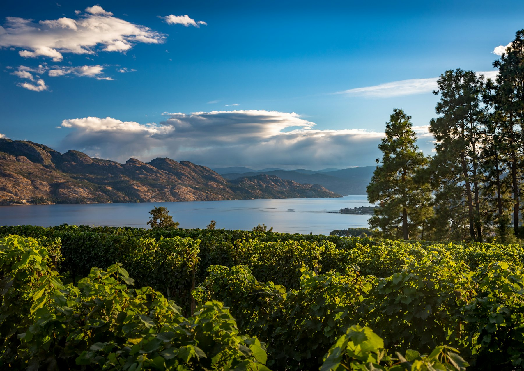 Ca kelowna lake
