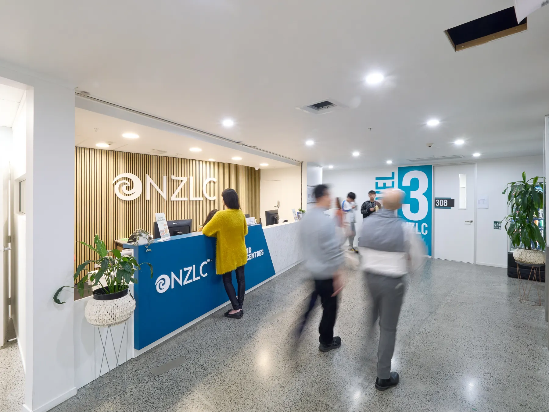Nz study